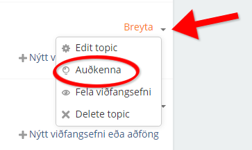 Auðkenna hluta áfanga