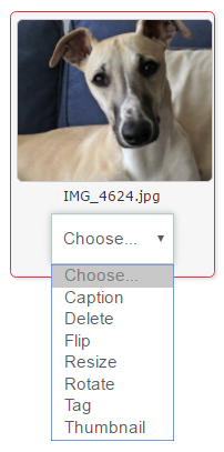 Myndagallerí í Moodle