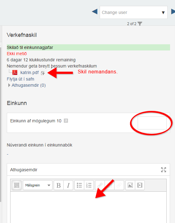 Einkunnagjöf fyrir verkefni
