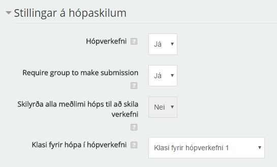 Hópverkefni