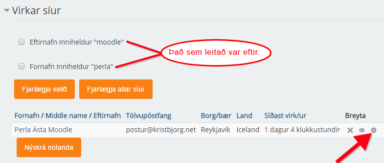 nidurstodur-leitar-siur