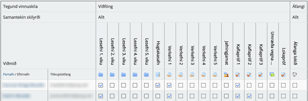 Skráning vinnuskila - Áfangaskýrsla