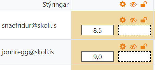 skráning einkunna í einkunnagjafarskýrslu